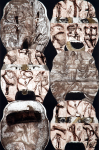 vizionar_VII